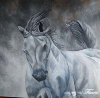 /album/galerie-photos/galopade-jpg1/