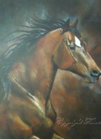 /album/galerie-photos/dscn8137-jpg/